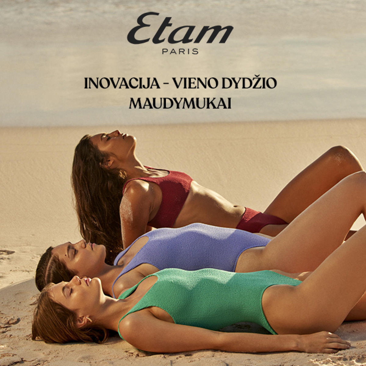 ETAM PLC Panorama v13
