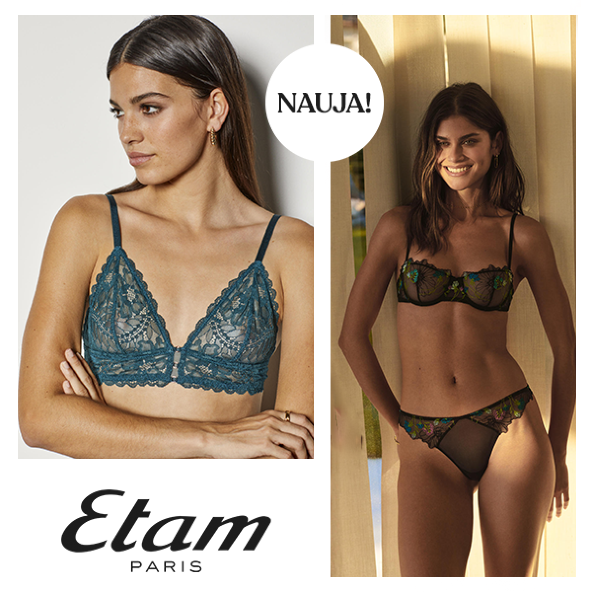 ETAM PLC Panorama v23