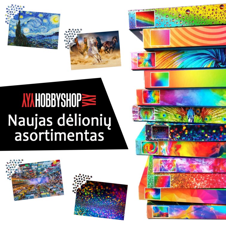 Naujos deliones 2024 Panorama LT