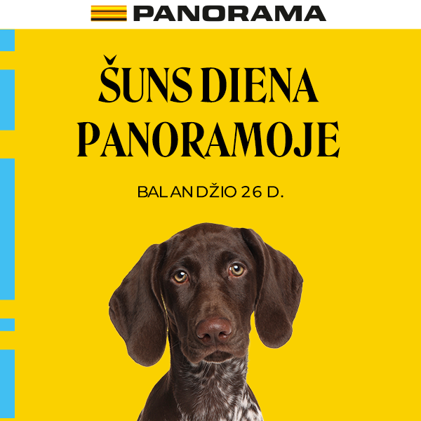 suns diena panoramoje 600x600