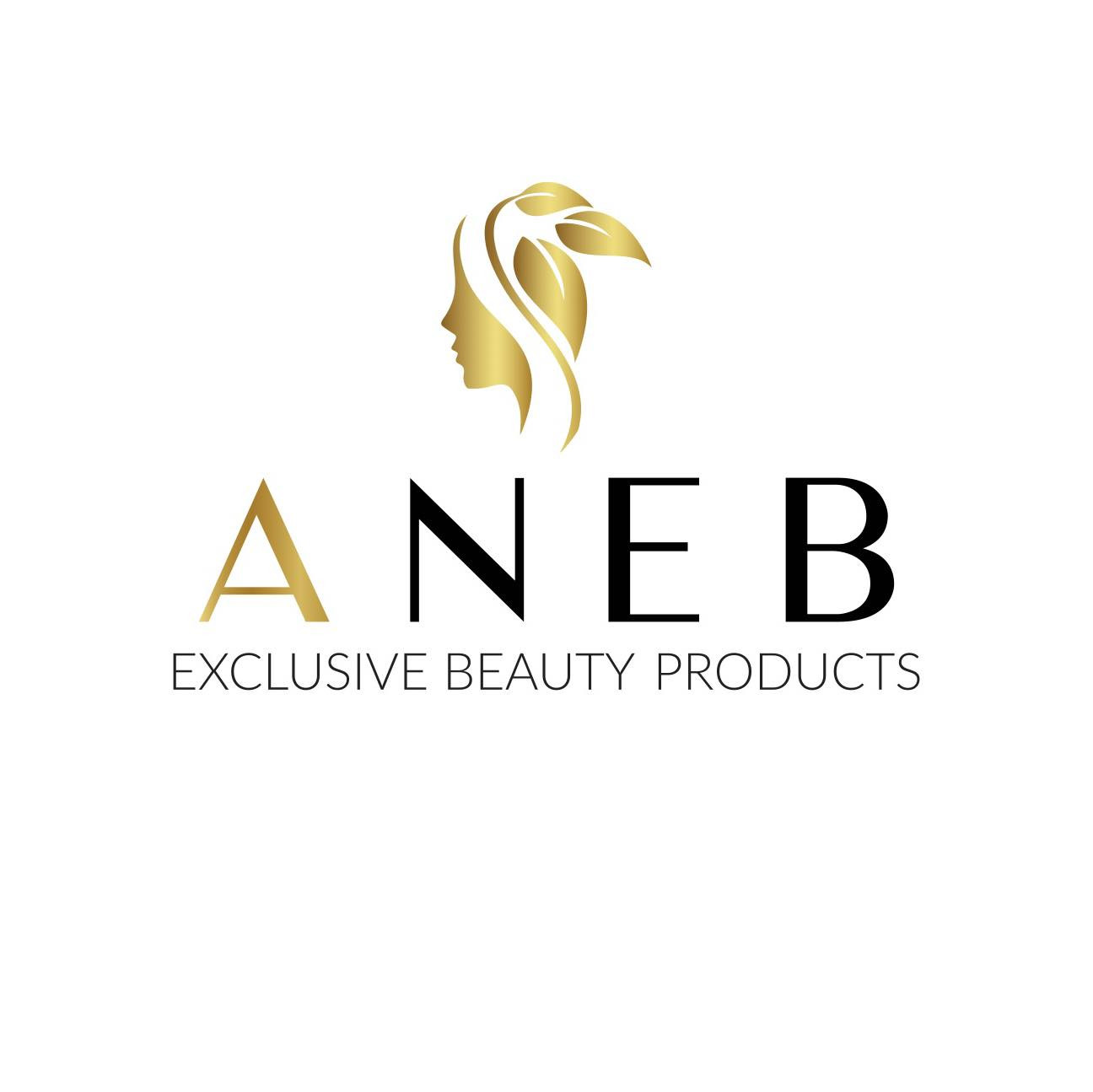 ANEB logo