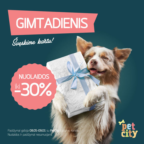 gimtadienis panorama 756x756px