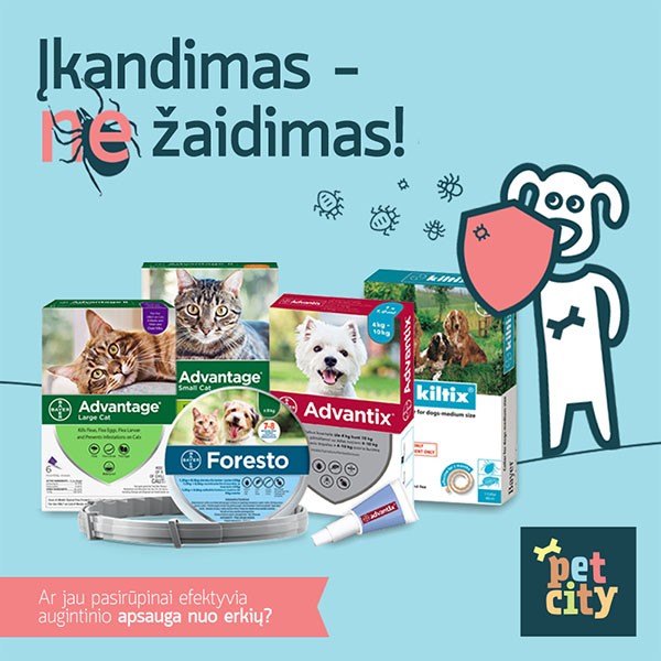 petcity panorama ikandimas ne zaidimas 600x600